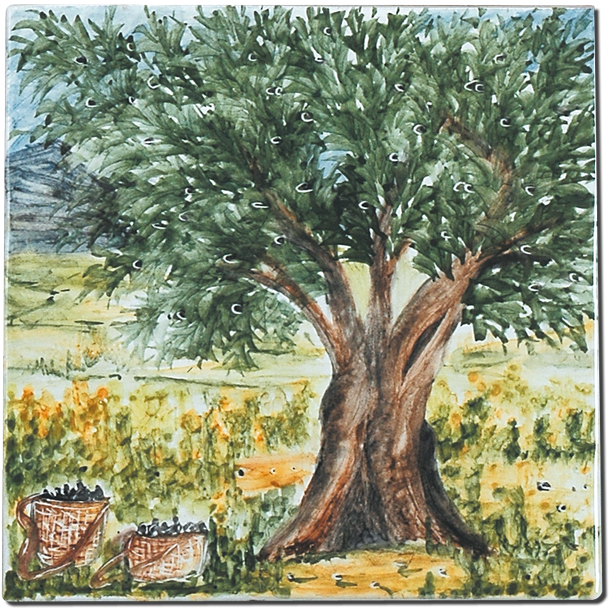 Carrelage - Décoration - Cueillette des Olives D- Motif - Design - Faïence de Provence à Salernes