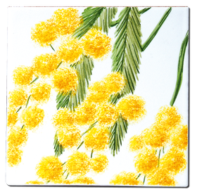 Carrelage - Décoration - Flore - Mimosa - Motif - Design - Faïence de Provence