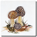 Carrelage - Décoration - Décor 13 Champignons - Motif - Design - Faïence de Provence à Salernes