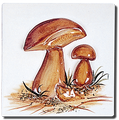 Carrelage - Décoration - Carré 13 Champignons - Motif - Design - Faïence de Provence à Salernes 