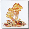 Carrelage - Décoration - Champignons - Motif - Design - Faïence de Provence à Salernes