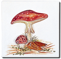 Carrelage - Décoration - Champignons- Motif - Design - Faïence de Provence à Salernes