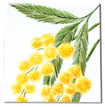 Carrelage - Décoration - Flore - Mimosa - Motif - Design - Faïence de Provence