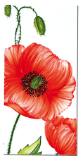 Carrelage - Décoration - Flore - Coquelicot - Motif - Design - Faïence de Provence