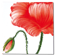 Carrelage - Décoration - Flore - Coquelicot - Motif - Design - Faïence de Provence