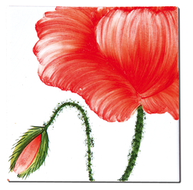 Carrelage - Décoration - Flore - Coquelicot - Motif - Design - Faïence de Provence