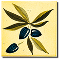 Carrelage - Décoration - Olive A- Motif - Design - Faïence de Provence à Salernes