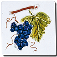 Carrelage - Les fruits - Nom du décor - Motif - Design - Faïence de Provence à Salernes