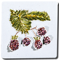 Carrelage - Décoration - Les fruits- Motif - Design - Faïence de Provence à Salernes