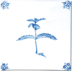 Aromates - Carrelage - Décoration - Delft Provençal- Motif - Design - Faïence