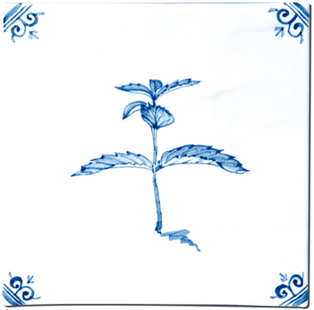 Aromates - Carrelage - Décoration - Delft Provençal- Motif - Design - Faïence
