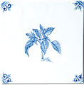 Aromates - Carrelage - Décoration - Delft Provençal- Motif - Design - Faïence