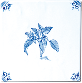 Aromates - Carrelage - Décoration - Delft Provençal- Motif - Design - Faïence