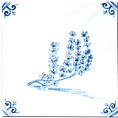 Aromates - Carrelage - Décoration - Delft Provençal- Motif - Design - Faïence