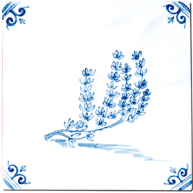 Aromates - Carrelage - Décoration - Delft Provençal- Motif - Design - Faïence