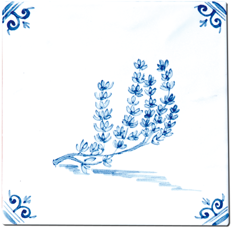 Aromates - Carrelage - Décoration - Delft Provençal- Motif - Design - Faïence