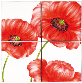 carrelages-decoration-Coquelicot- Carrelage émaillée- motif - Design - Salernes