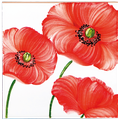 carrelages-decoration-Coquelicot-Carrelage émaillé-motif-Design-Salernes