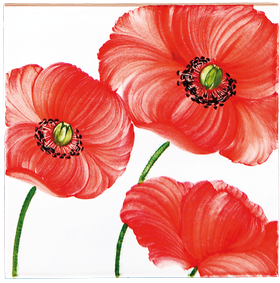carrelages-decoration-Coquelicot-Carrelage émaillé-motif-Design-Salernes
